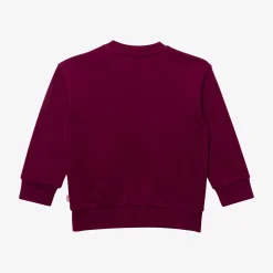 Sale Baby Boys' Purple Sweatshirt Child Cardigans & Sweaters