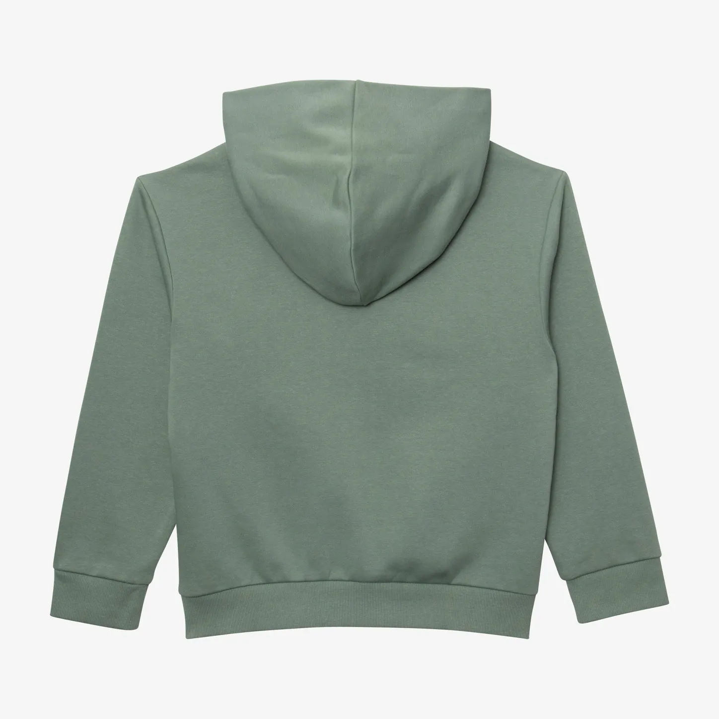 Fashion Kid Green Butterfly Sweatshirt Child Cardigans & Sweaters
